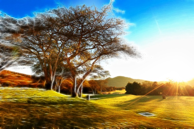 第二波疫情來襲？送你一份養(yǎng)肺指南