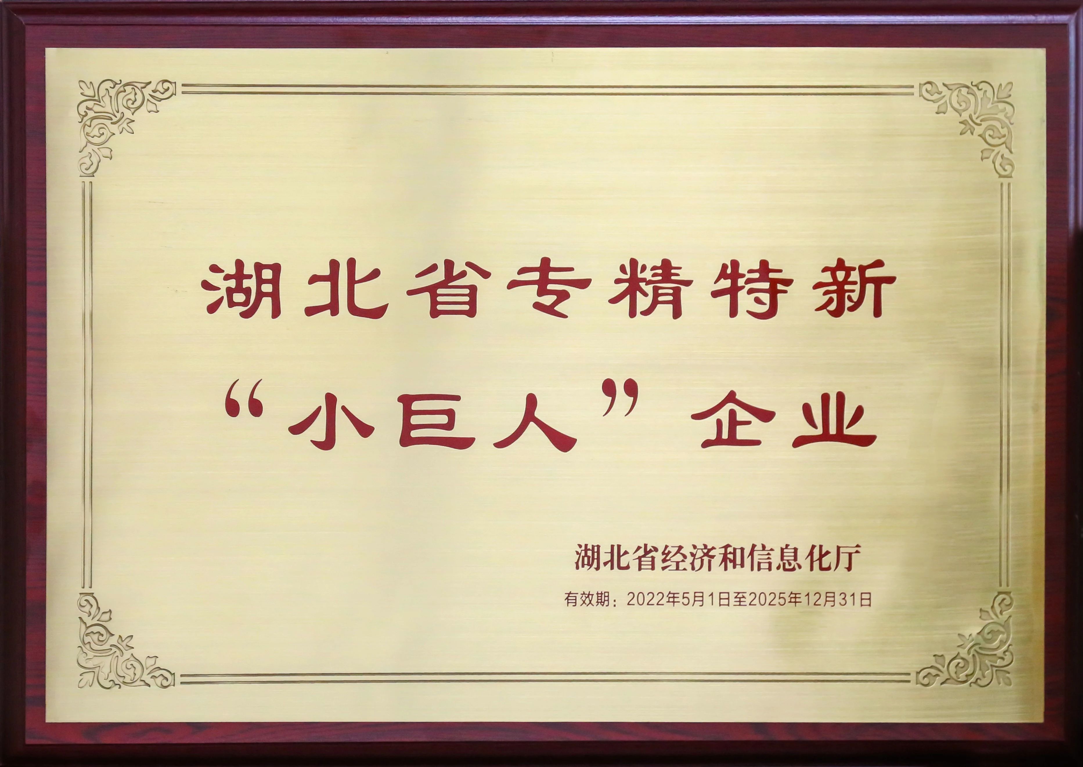 盤點新疆26省聯(lián)盟集采，湖北東信擬中選（婦科）品種數(shù)量名列榜首
